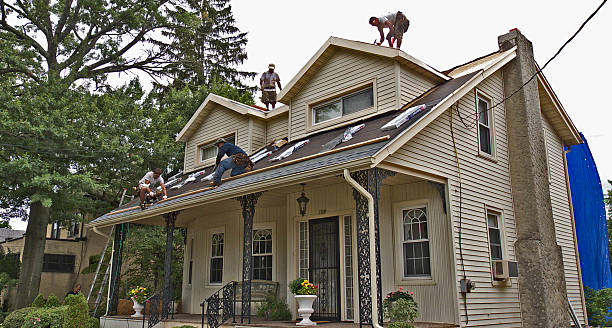 Best Gutter Installation and Roofing  in Fort Shawnee, OH